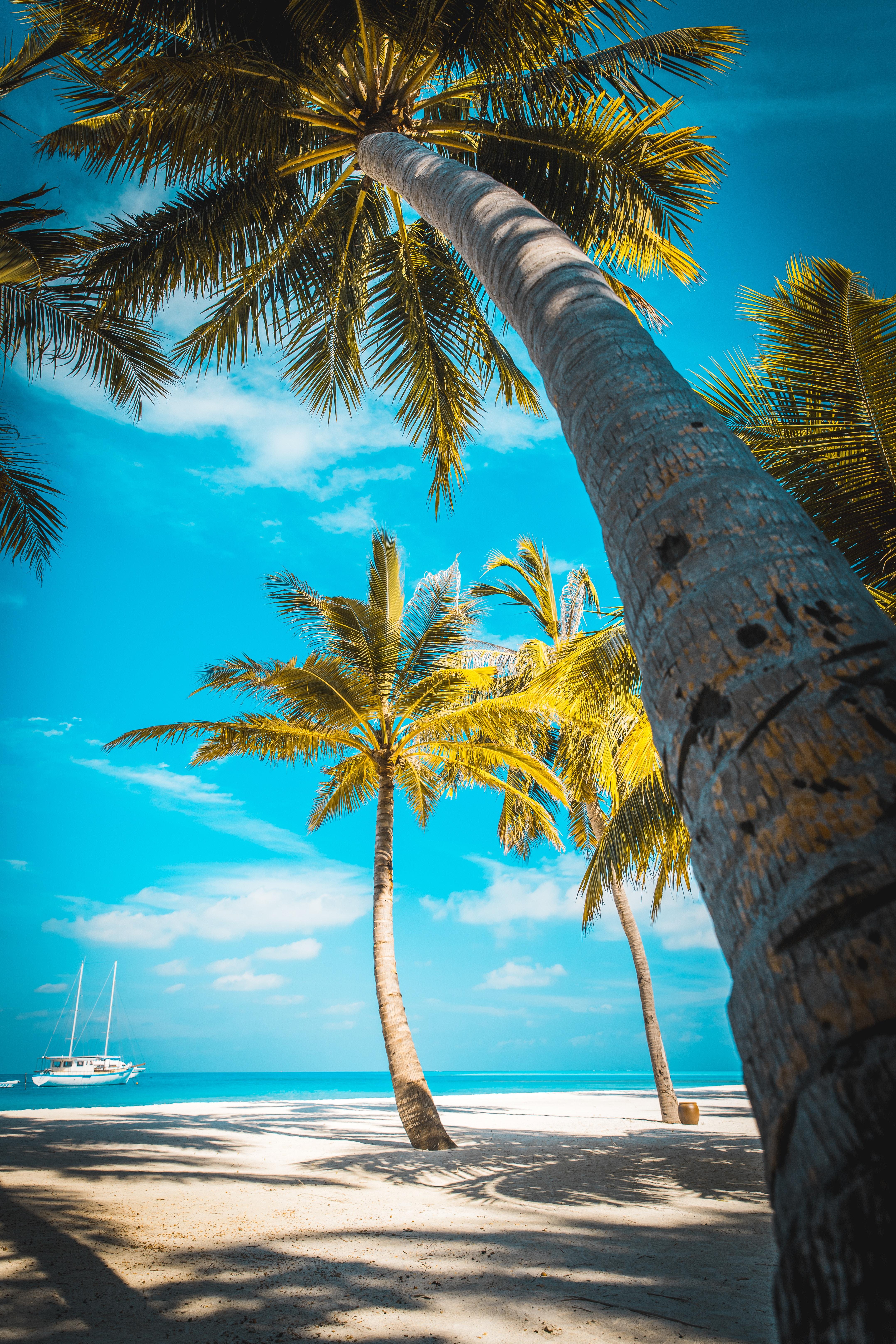 4315x6472 Download Paradise wallpaper for mobile phone, free Paradise HD picture