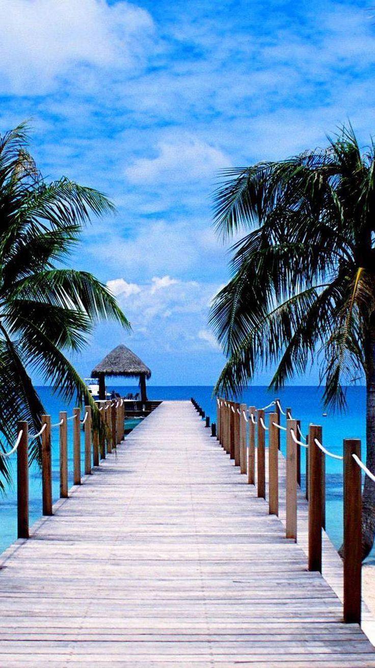 736x1309 Summer Paradise Wallpaper