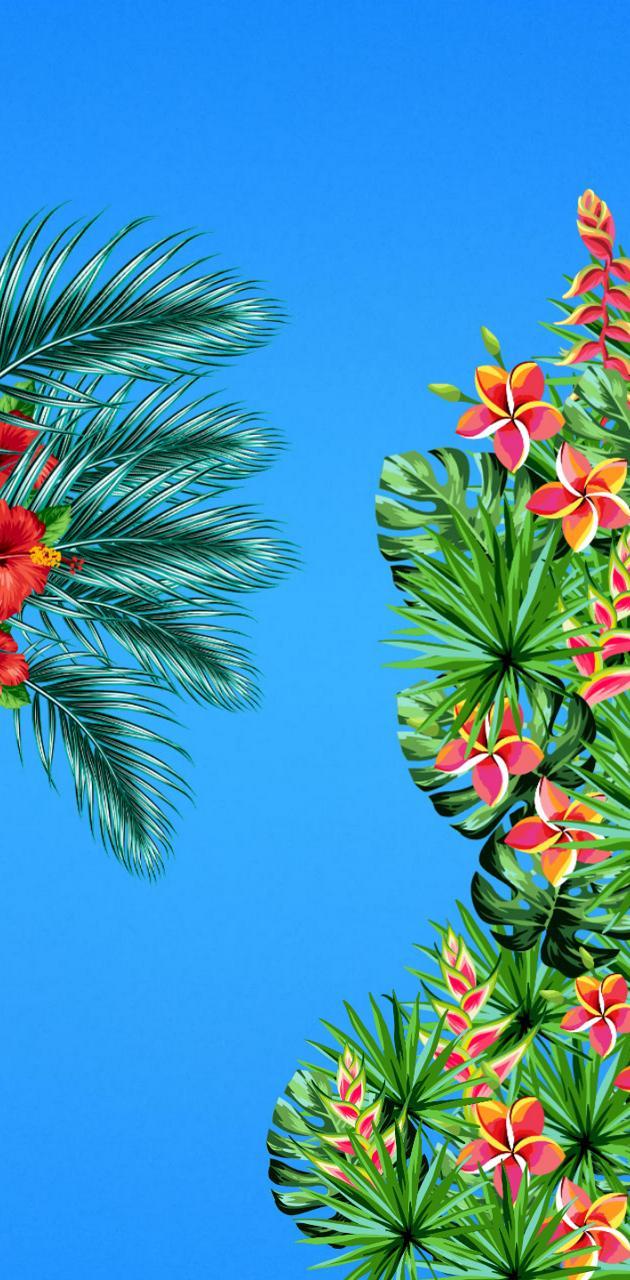 630x1280 Beautiful paradise wallpaper