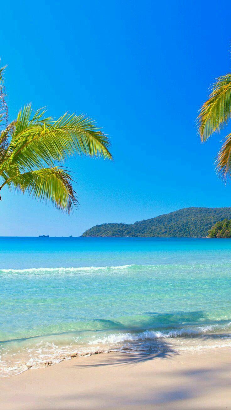 736x1308 ilustraciones. Beach wallpaper, Beach phone wallpaper, Beautiful beaches