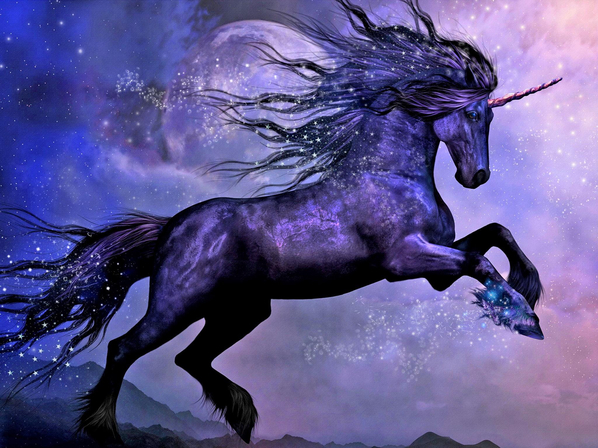 2048x1536 Fantasy Animals, Unicorn Wallpaper, Black, Moon, Night