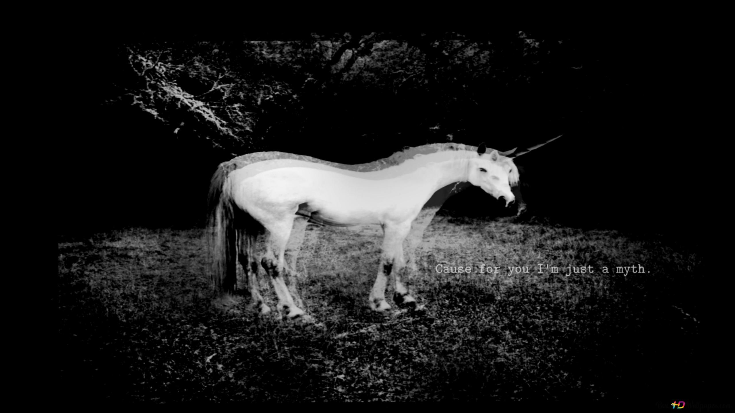 2560x1440 Dark unicorn 4K wallpaper download