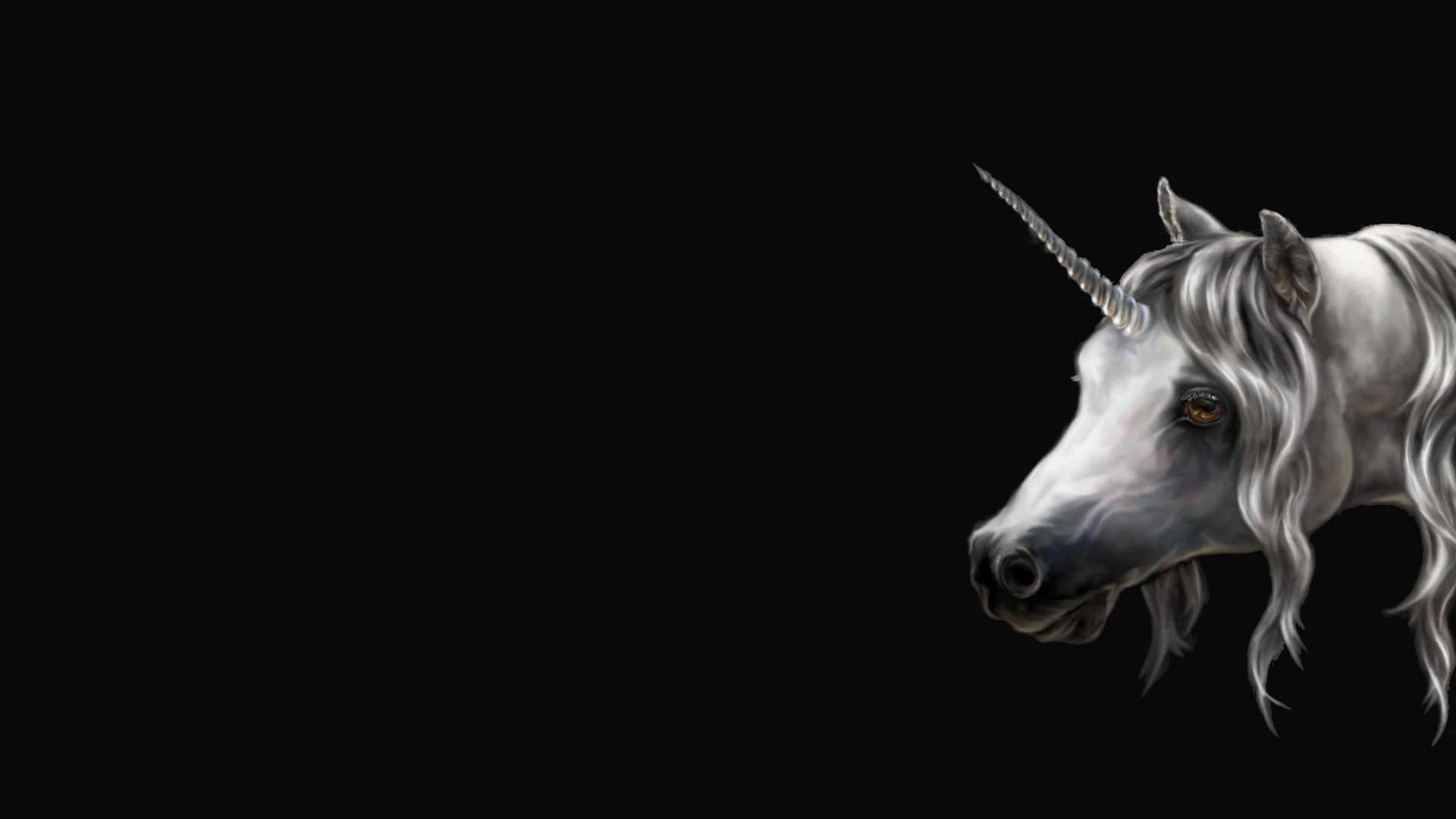 1920x1080 Free Pretty Unicorn Wallpaper Downloads, Pretty Unicorn Wallpaper for FREE