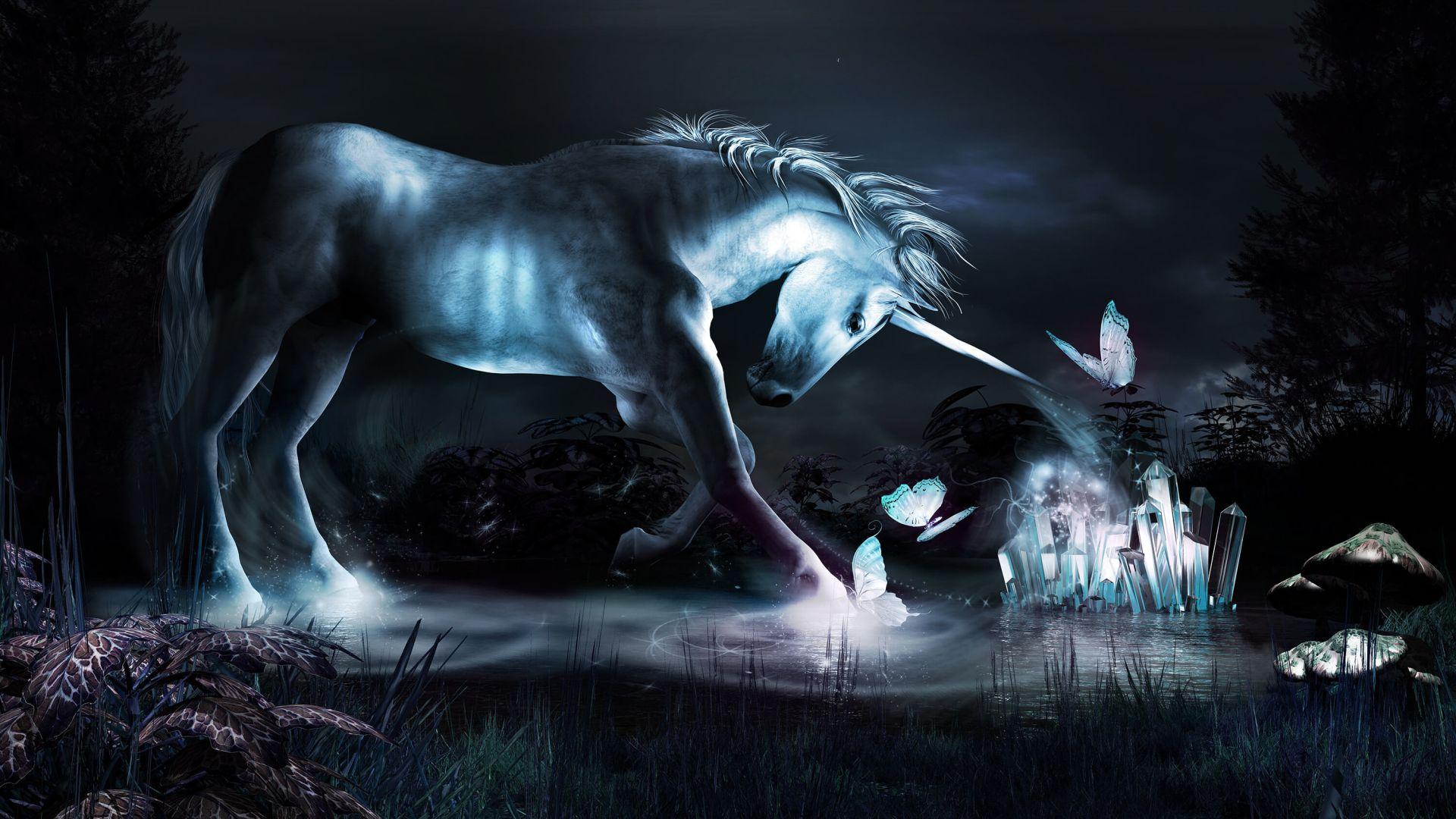 1920x1080 Playing unicorn