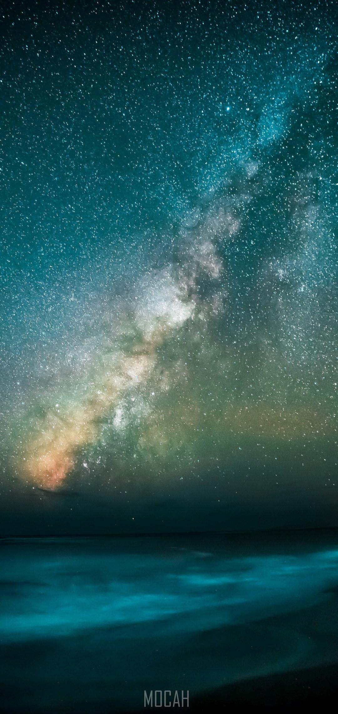 1080x2280 paradise, Oppo A93 full HD wallpaper, 1080x2400 Gallery HD Wallpaper