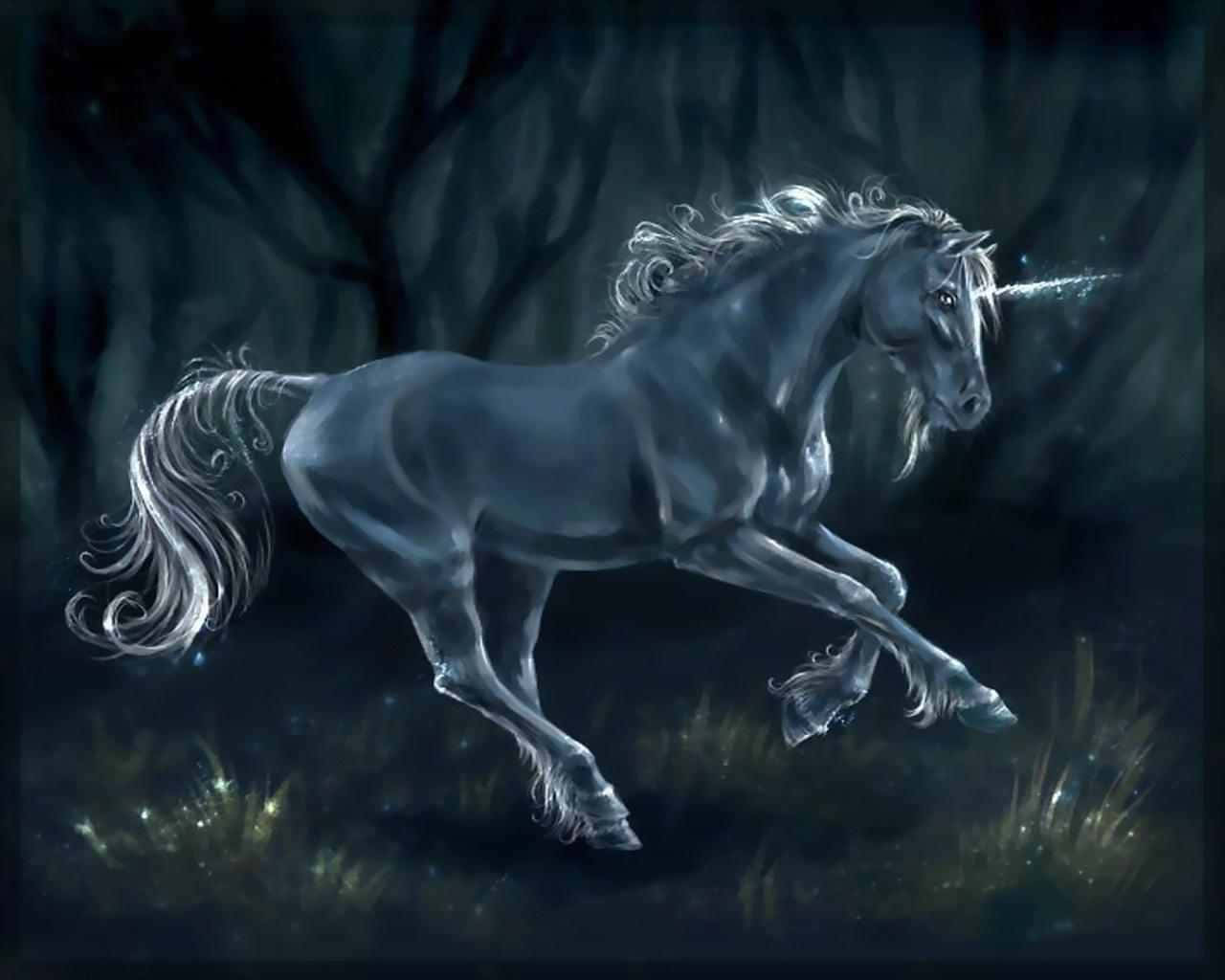 1280x1024 Download Unicorn Desktop Wallpaper