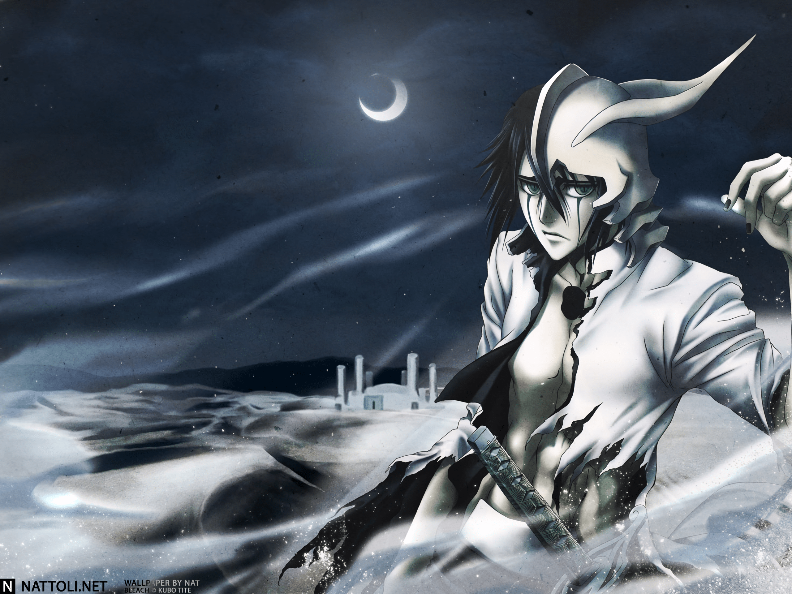 2560x1920 2560x1920 Ulquiorra Cifer Gallery HD Wallpaper