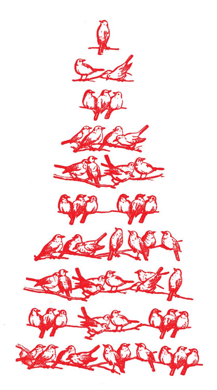 833x1500 Christmas Birds Image! Graphics Fairy