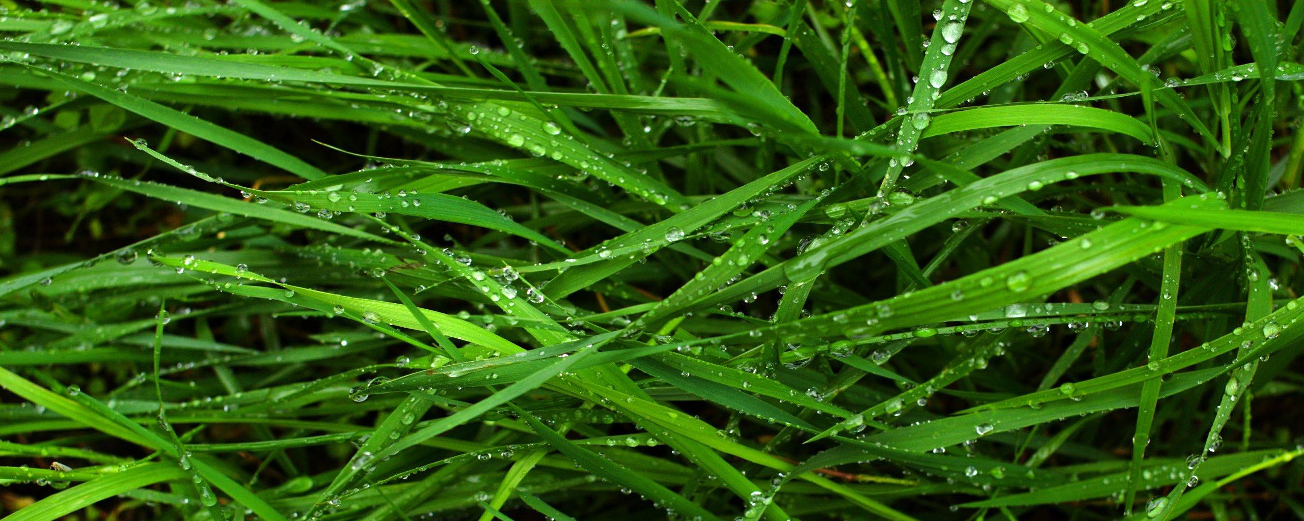 2560x1024 Free Dual Display Wallpaper For Desktop Download