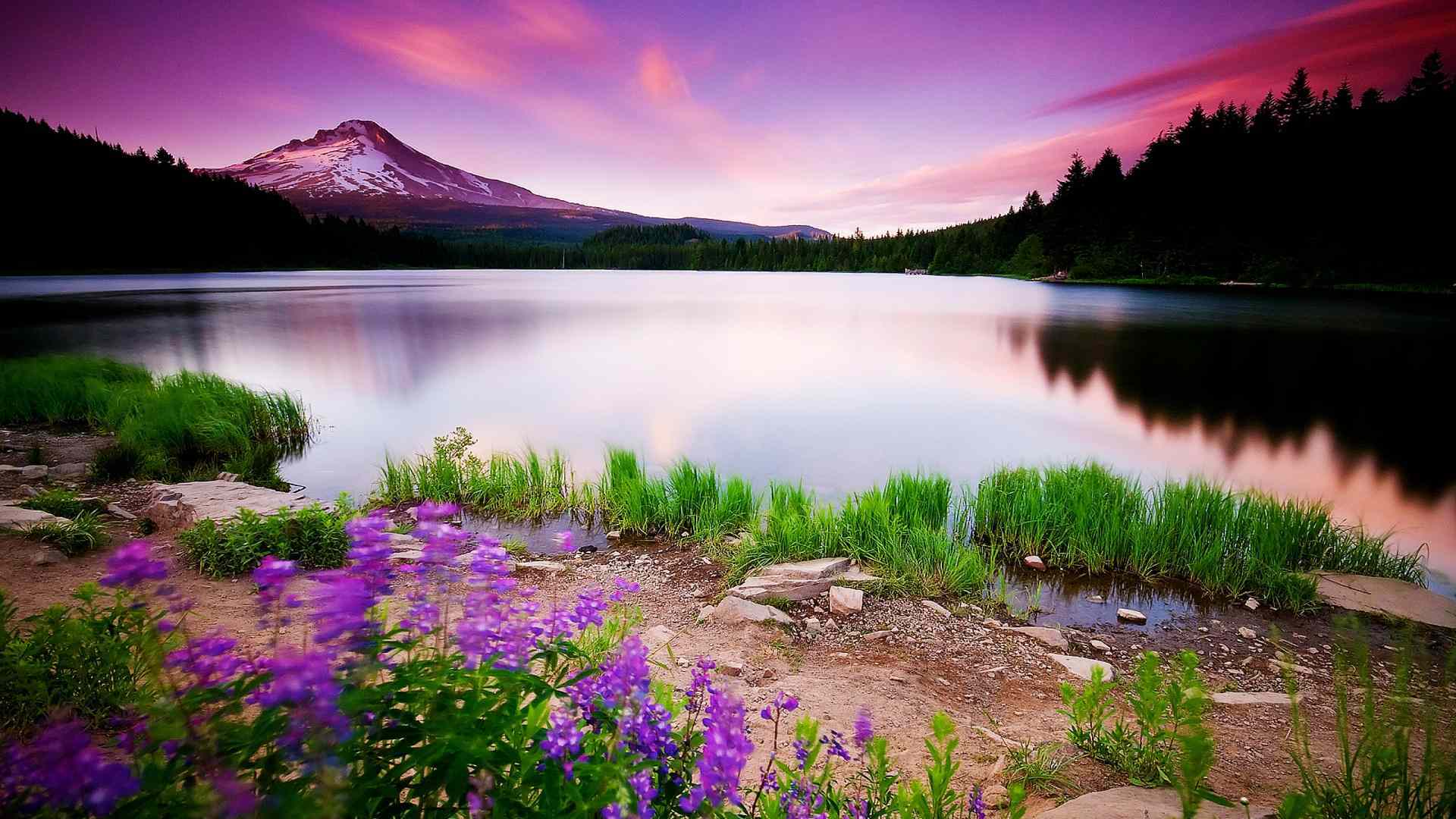 1920x1080 Nature Scenery, HD Nature, 4k Wallpaper, Image, Background, Photo and Picture