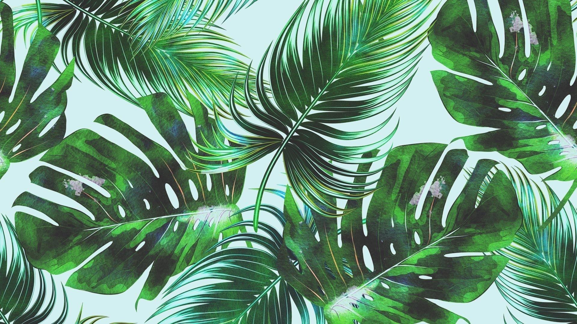 Palm Leaves Computer Wallpapers Top Free Palm Leaves Computer