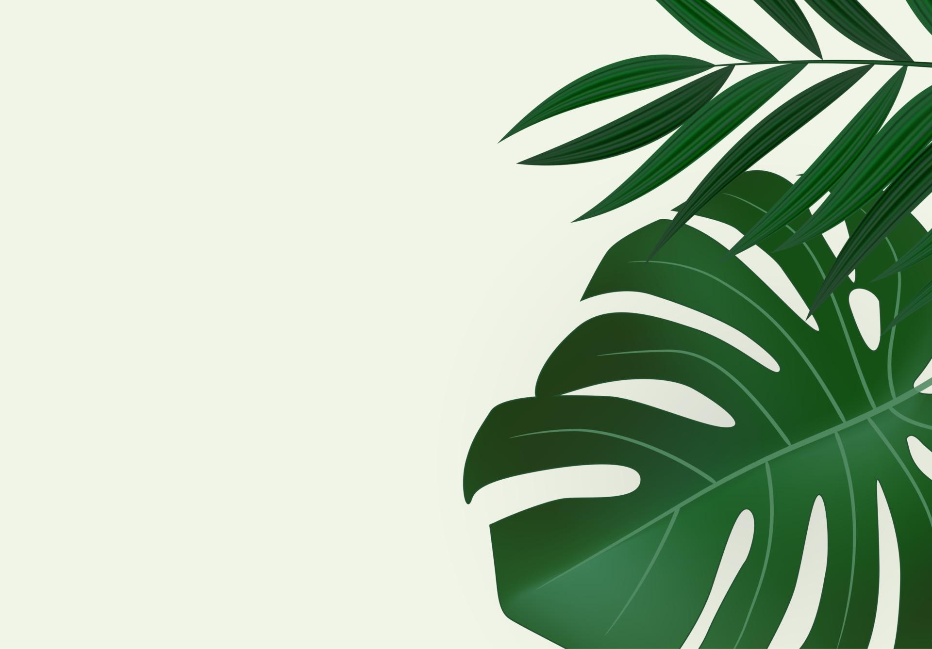 1920x1338 Natural Realistic Green Palm Leaves Tropical Background