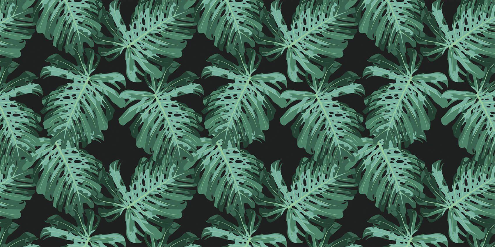 1701x850 Monstera palm leaves
