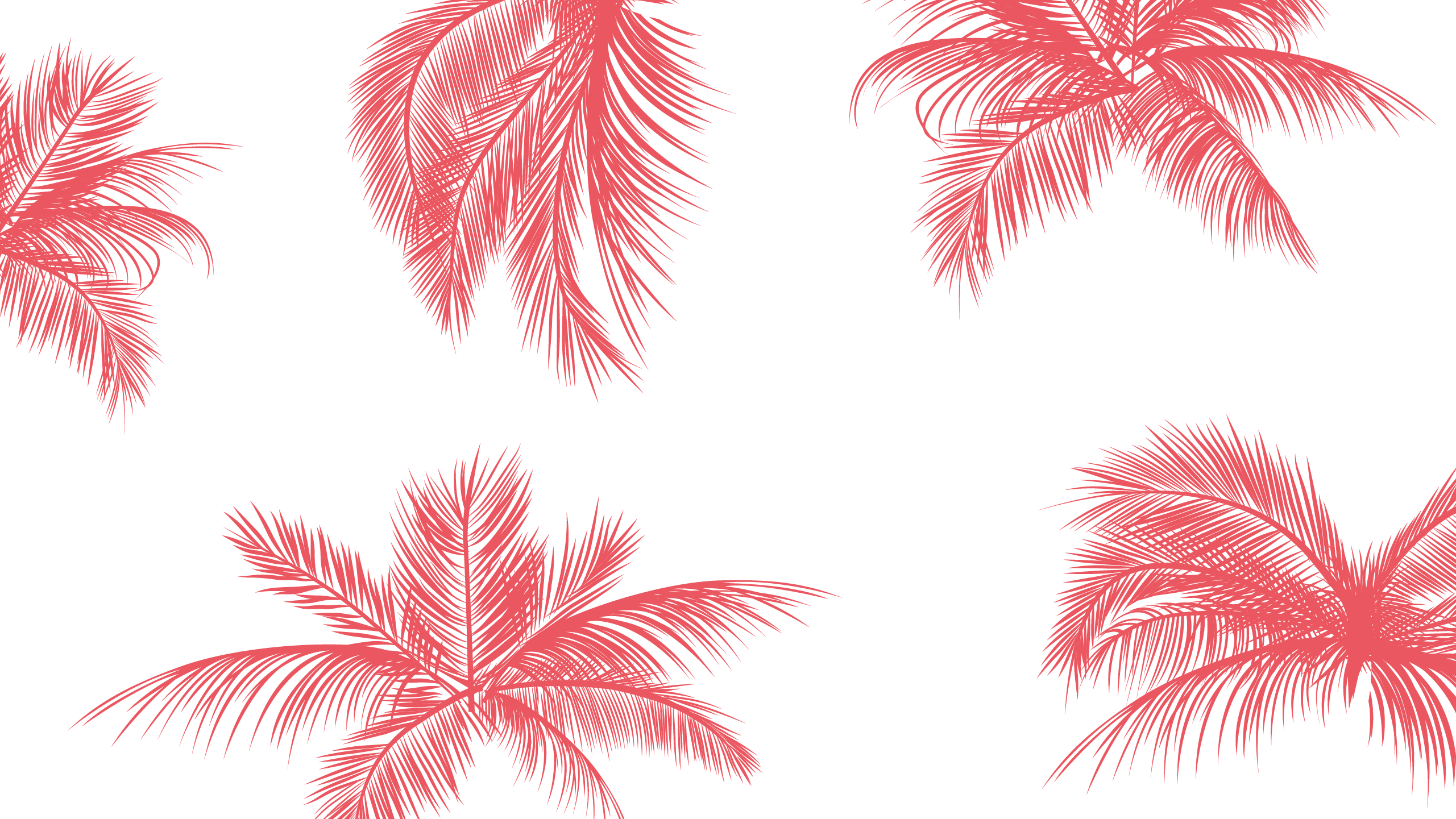 2561x1441 Pink white palm trees leaves tropical desktop wallpaper background. Tree desktop wallpaper, Computer wallpaper desktop wallpaper, Autumn leaves wallpaper