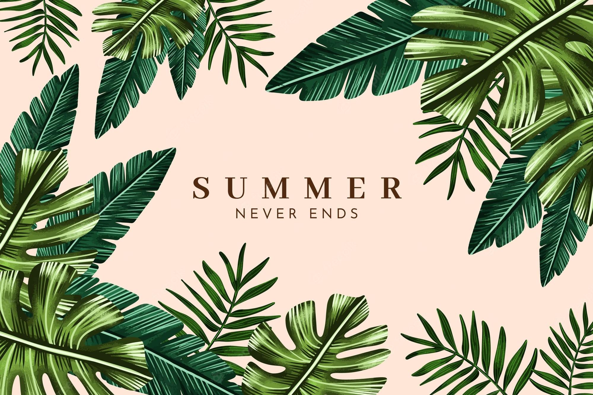 2000x1333 Tropical Palm Leaf Image
