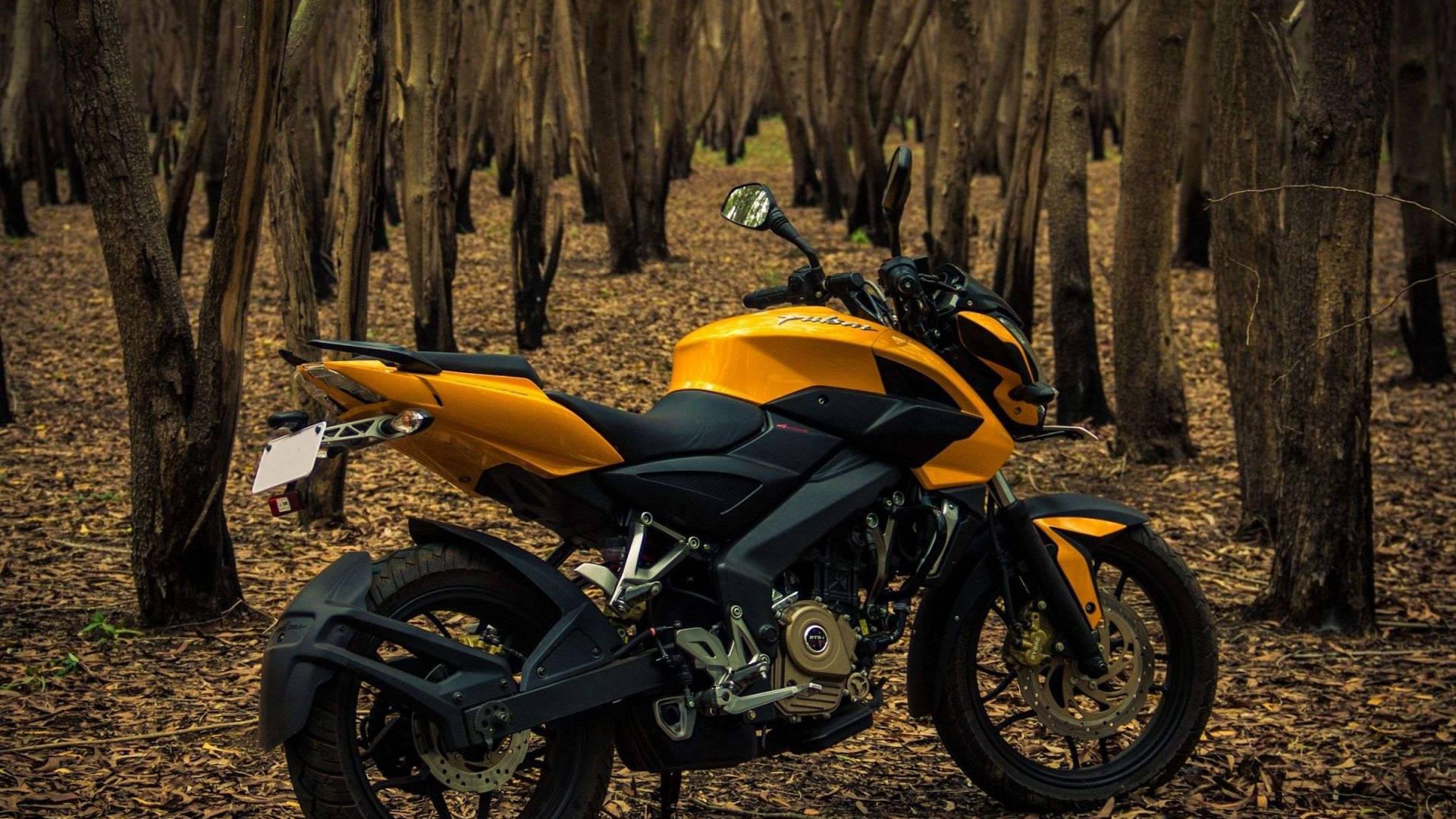 1920x1080 Download Pulsar Rs200 Forest Wallpaper