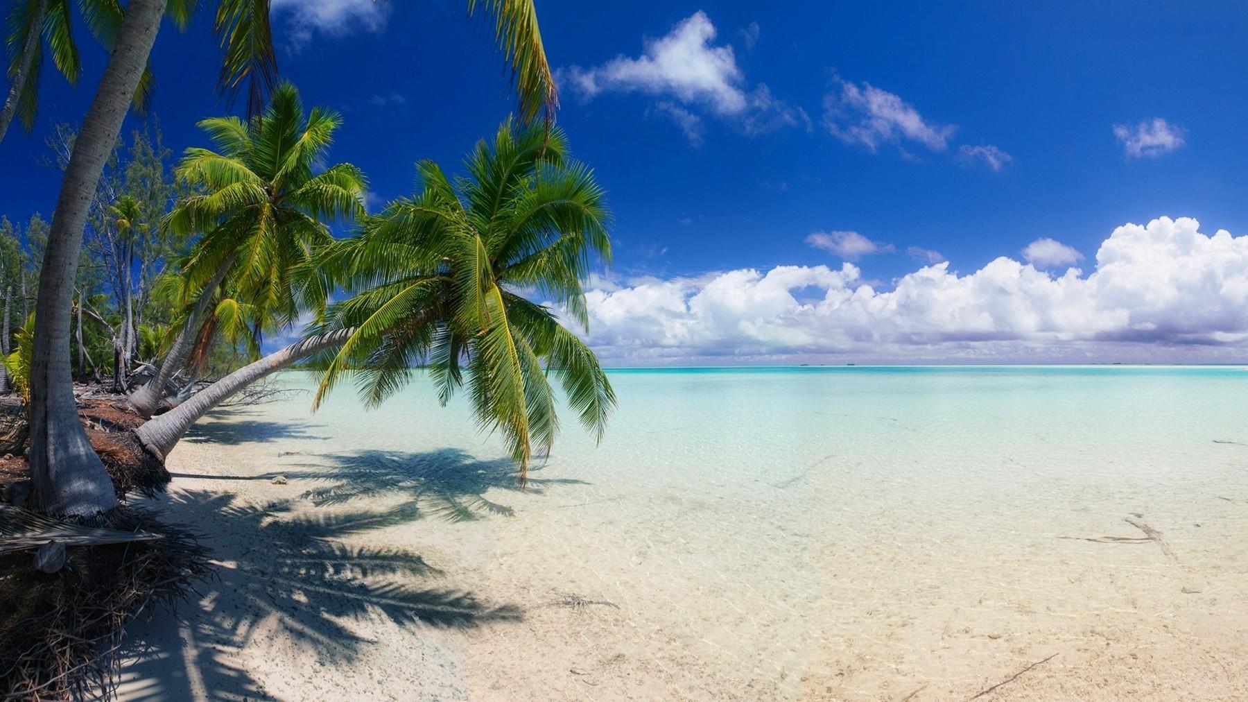 1800x1012 nature landscape beach white sand island palm trees sea clouds tropical summer Gallery HD Wallpaper