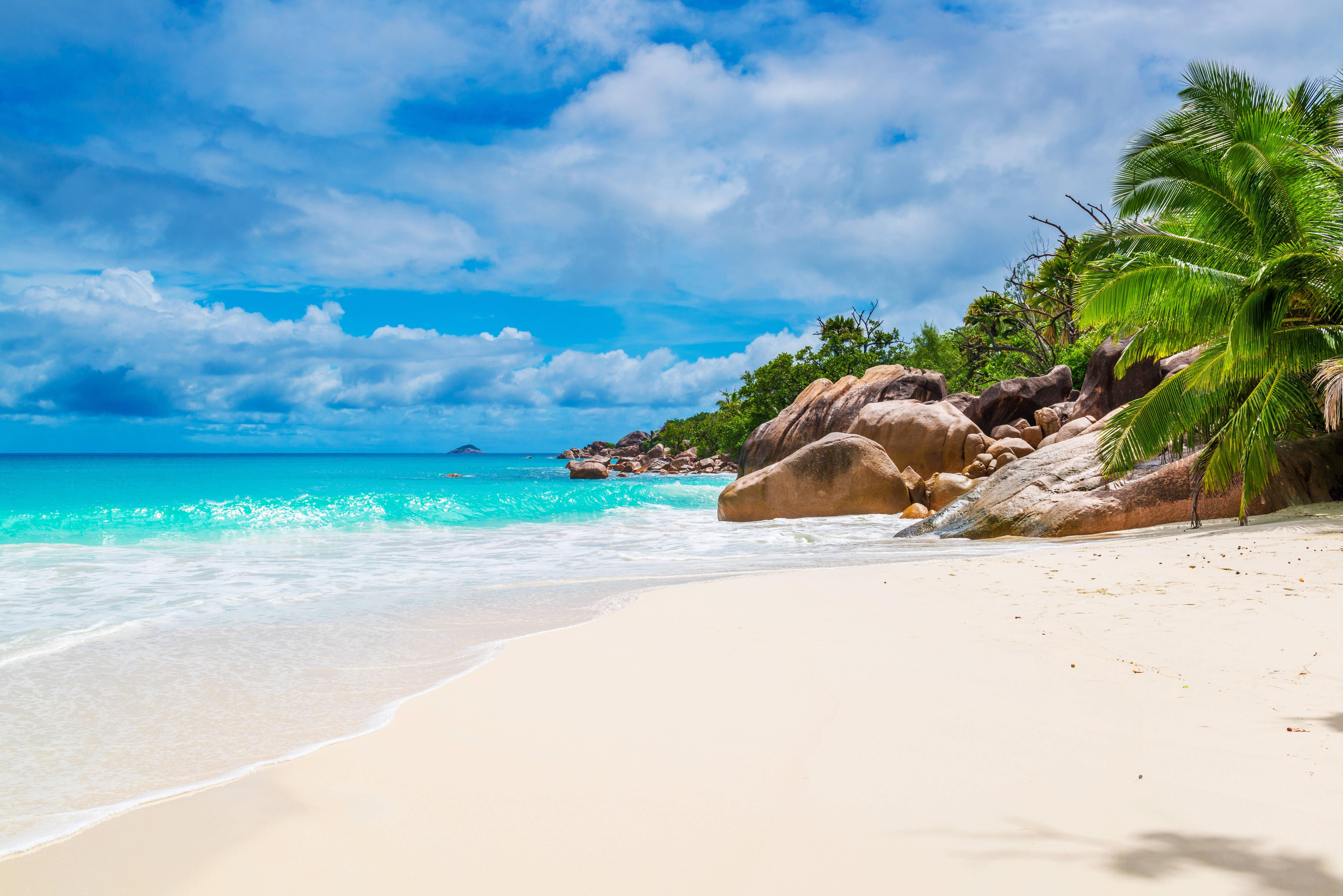 6605x4408 Download Maldives White Sand Beach Wallpaper