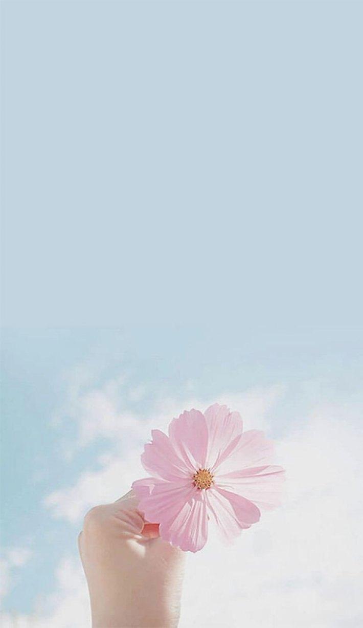 Flower and Sky Wallpapers - Top Free Flower and Sky Backgrounds ...