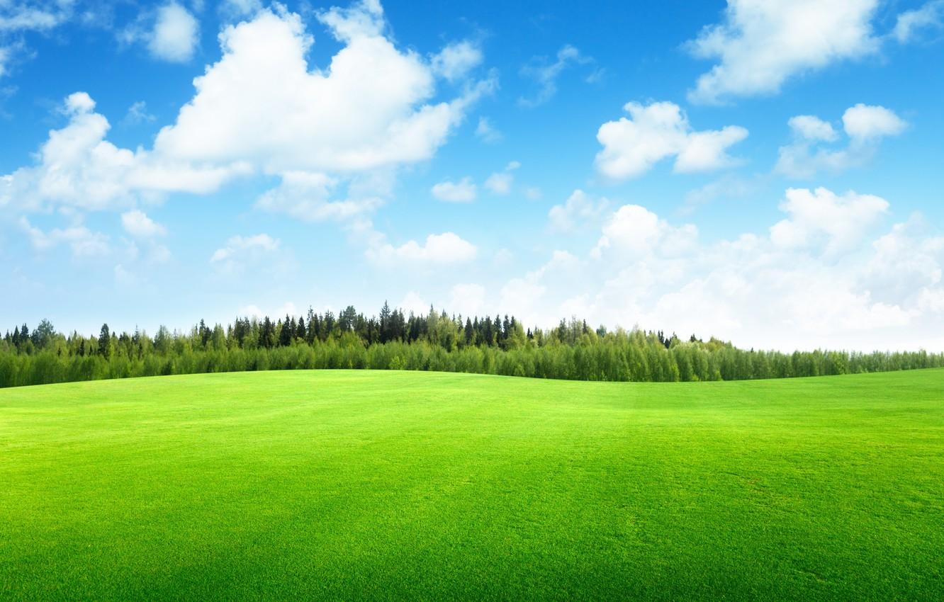 1332x850 Wallpaper the sky, clouds, trees, landscape, nature, sky, trees, landscape, nature, beautiful, beautiful, clouds, field of grass, grass field image for desktop, section природа