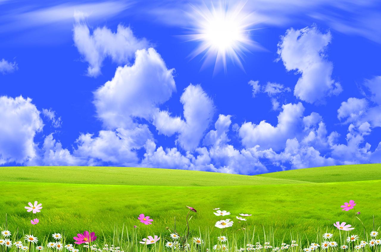 1280x848 Grass And Sky Wallpaper