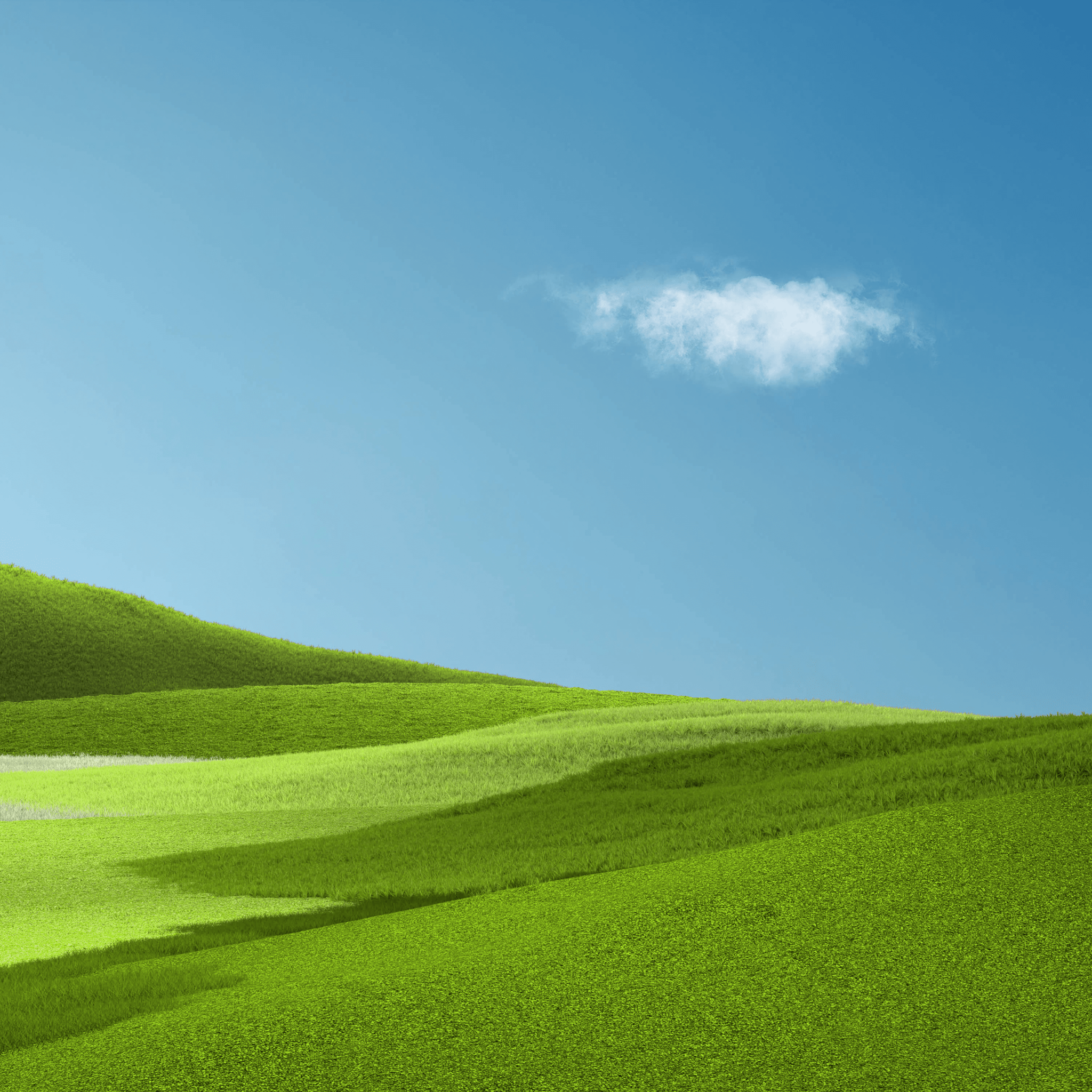 2048x2048 Aesthetic Wallpaper 4K, Landscape, Grass field, Nature
