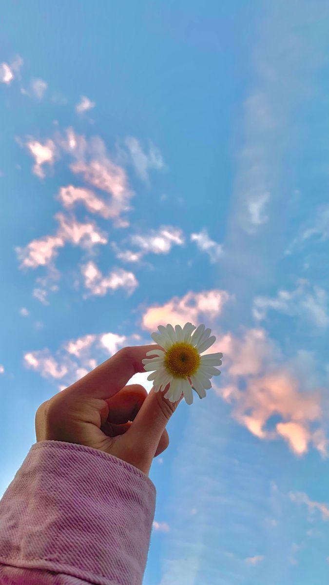 675x1200 Summer 2021. Cute flower wallpaper, Beautiful nature picture, Fall landscape photography. Sky aesthetic, Nature photography, Cute flower wallpaper