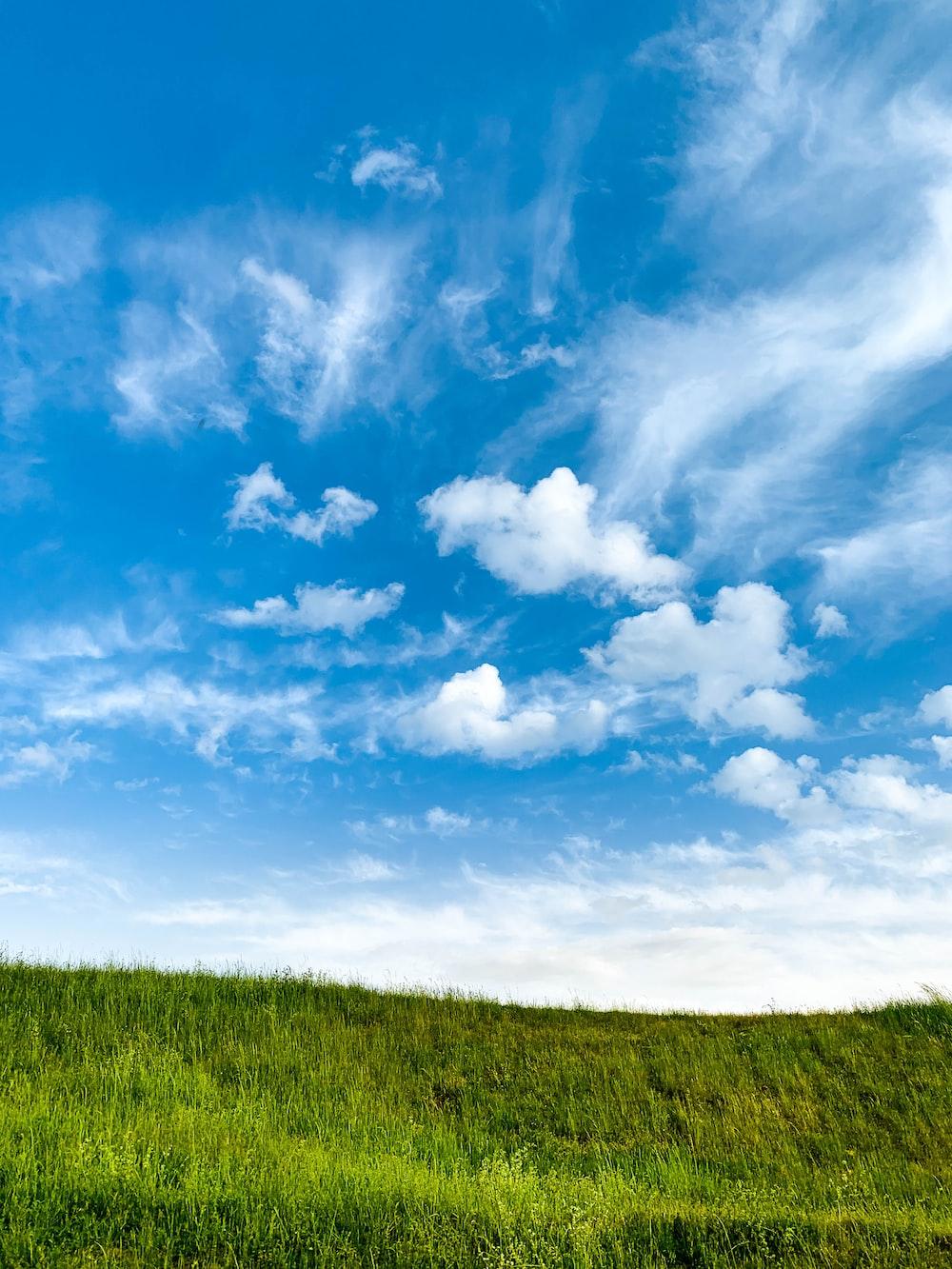 Grass and Sky Wallpapers - Top Free Grass and Sky Backgrounds ...