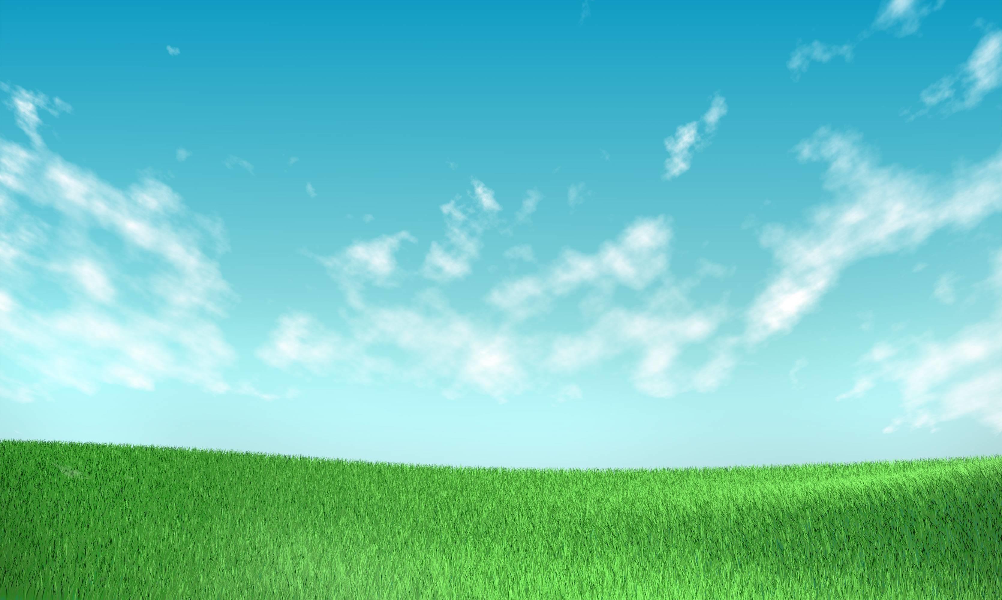 3339x2000 Grass And Sky Background Wallpaper HD Image 10879 And Sky Background HD
