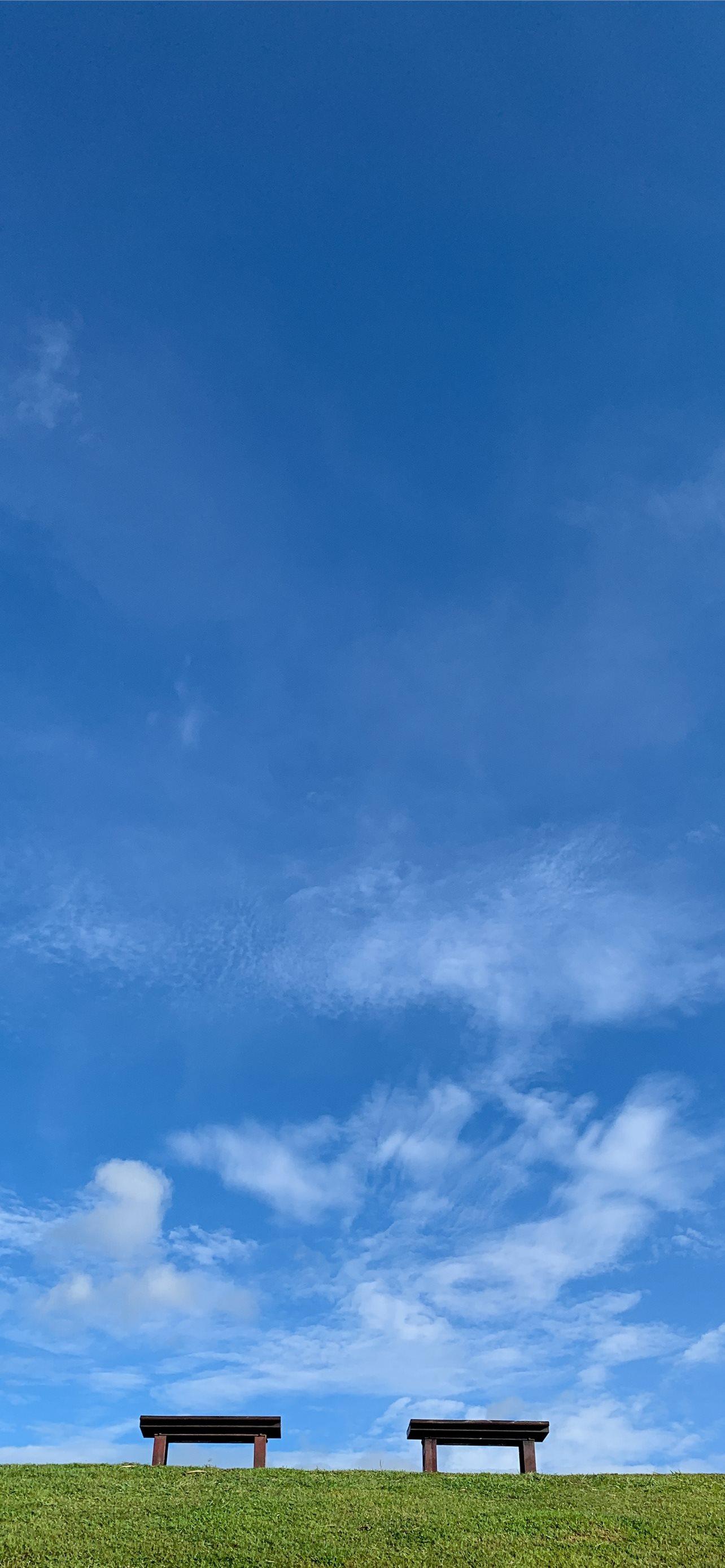 1284x2778 grass field under blue sky iPhone Wallpaper Free Download