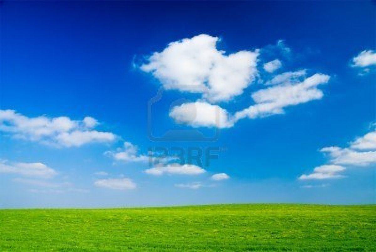 1200x804 Free download Green Grass Blue Sky Wallpaper Nature HD Wallpaper Background [1200x804] for your Desktop, Mobile & Tablet. Explore Grass and Sky Wallpaper. Apple Grass Wallpaper, HD Grass Wallpaper