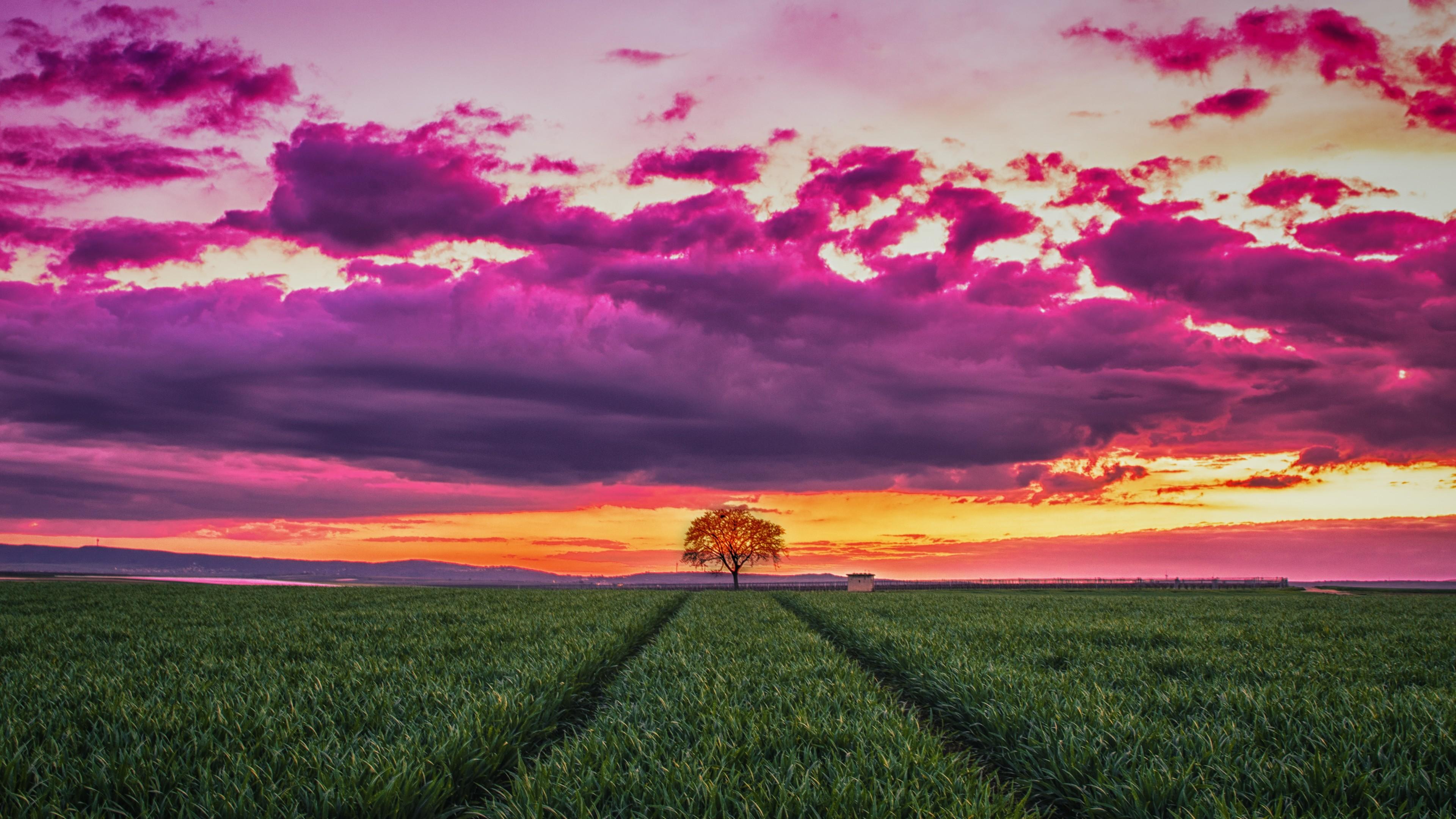 3840x2160 Wallpaper sunset, field, grass, sky, clouds, 4k, Nature