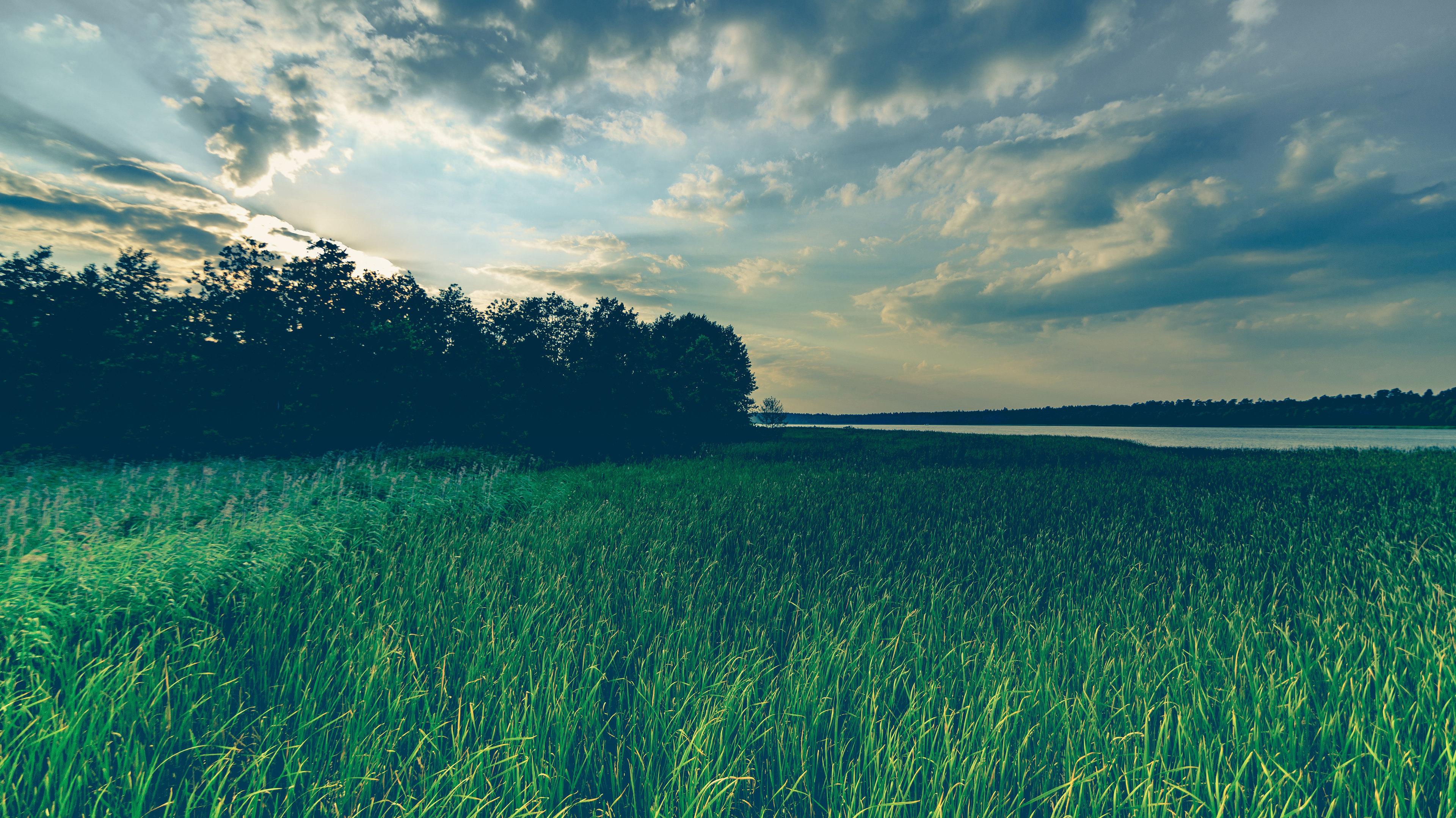 3840x2160 Wallpaper 4k Green Grass Field Sky Reflection Wind 4k Wallpaper