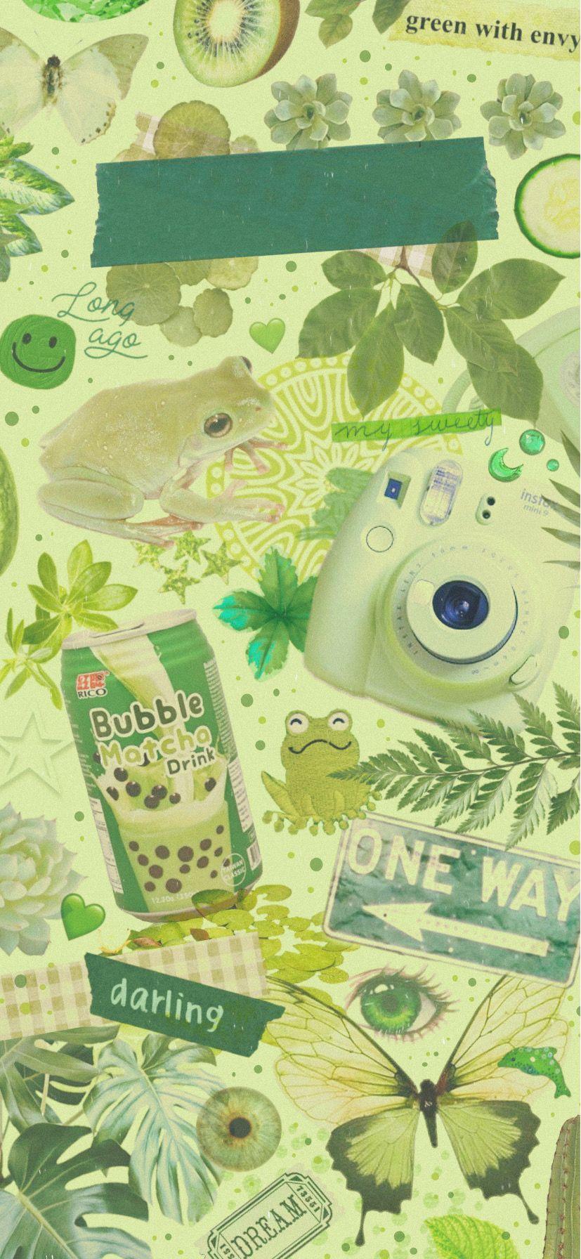 aesthetic frog wallpapers in 2023  Frog wallpaper Cute frogs Cute simple  wallpapers