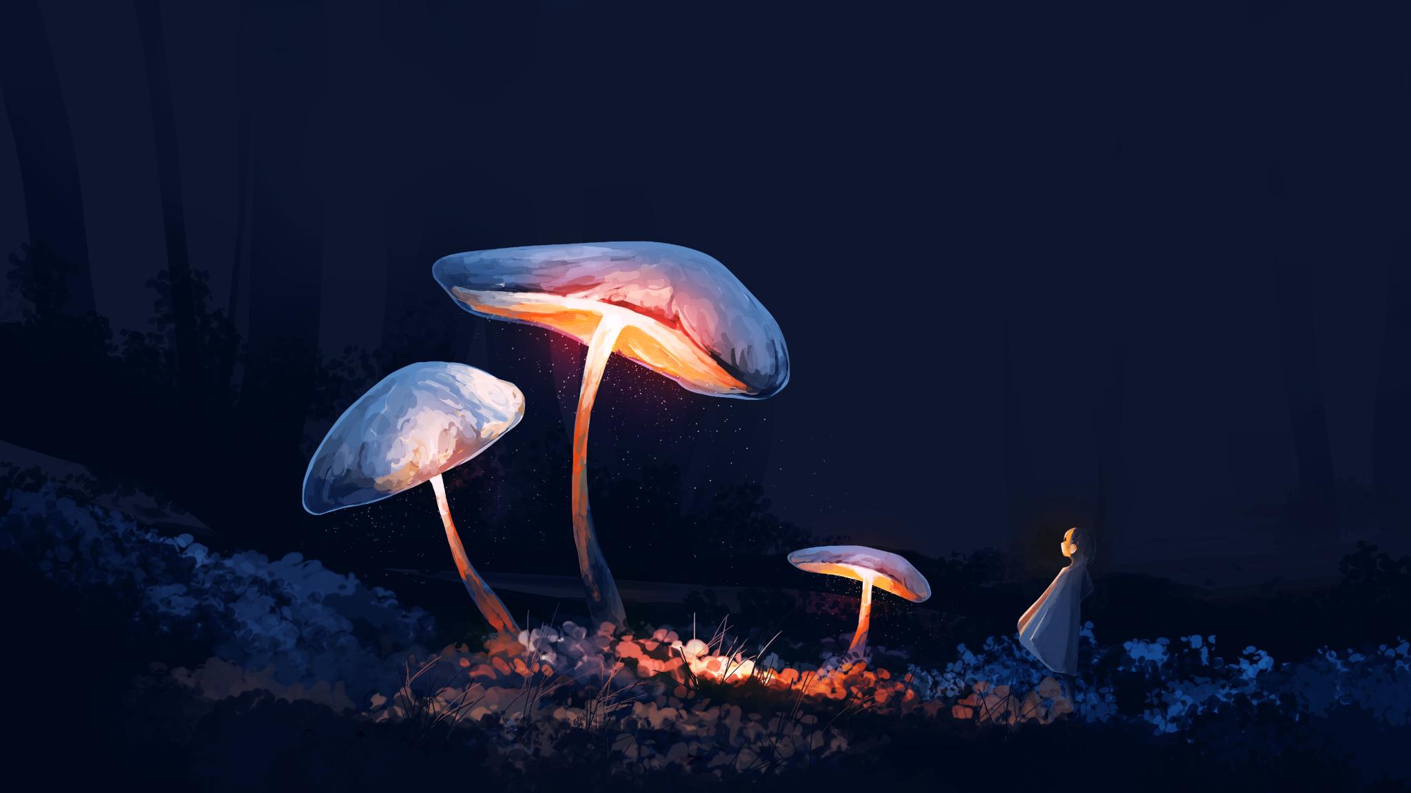 2048x1152 Anime Girl with Mushroom 5K 2048x1152 Resolution Wallpaper, HD Artist 4K Wallpaper, Image, Photo and Background