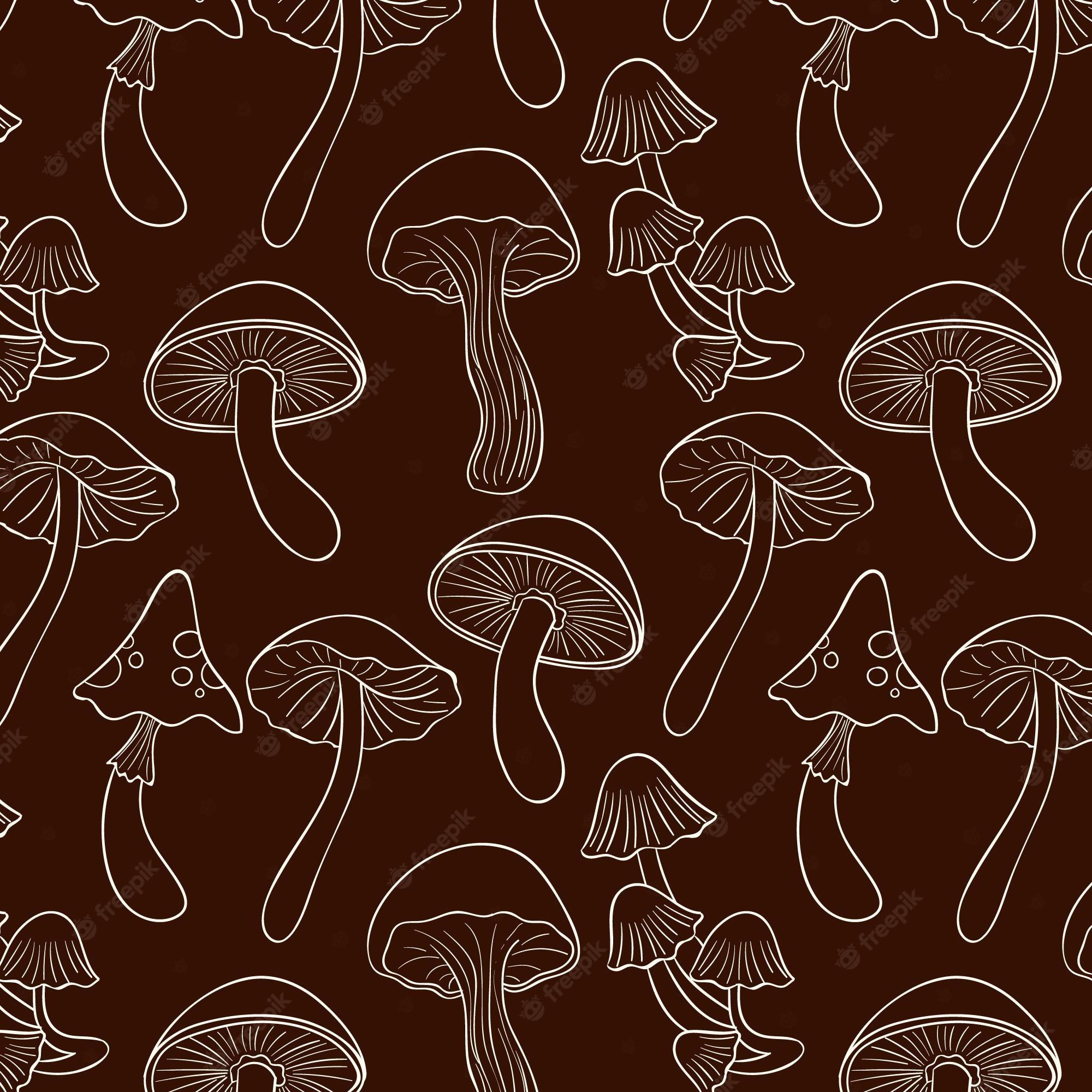 2000x2000 Mushrooms Wallpaper