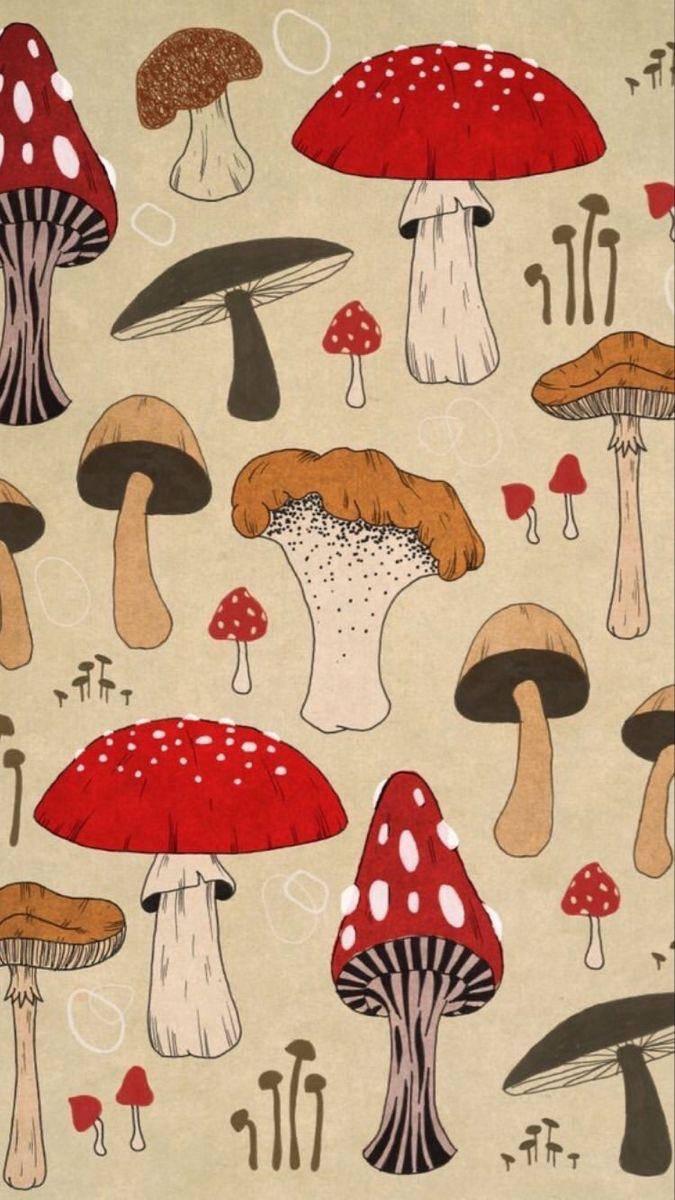 675x1200 Download Vintage Cartoon Mushroom Aesthetic Wallpaper