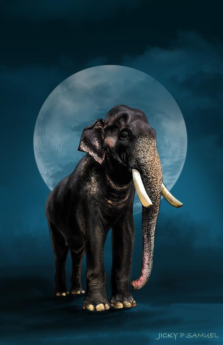 720x1116 KARNAN THE ELEPHANT