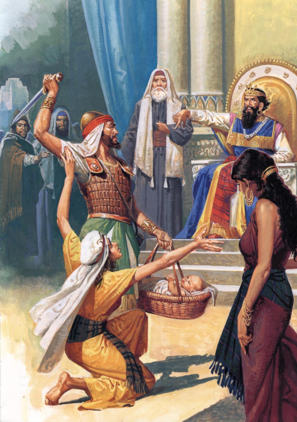 1125x1600 Solomon's Wisdom