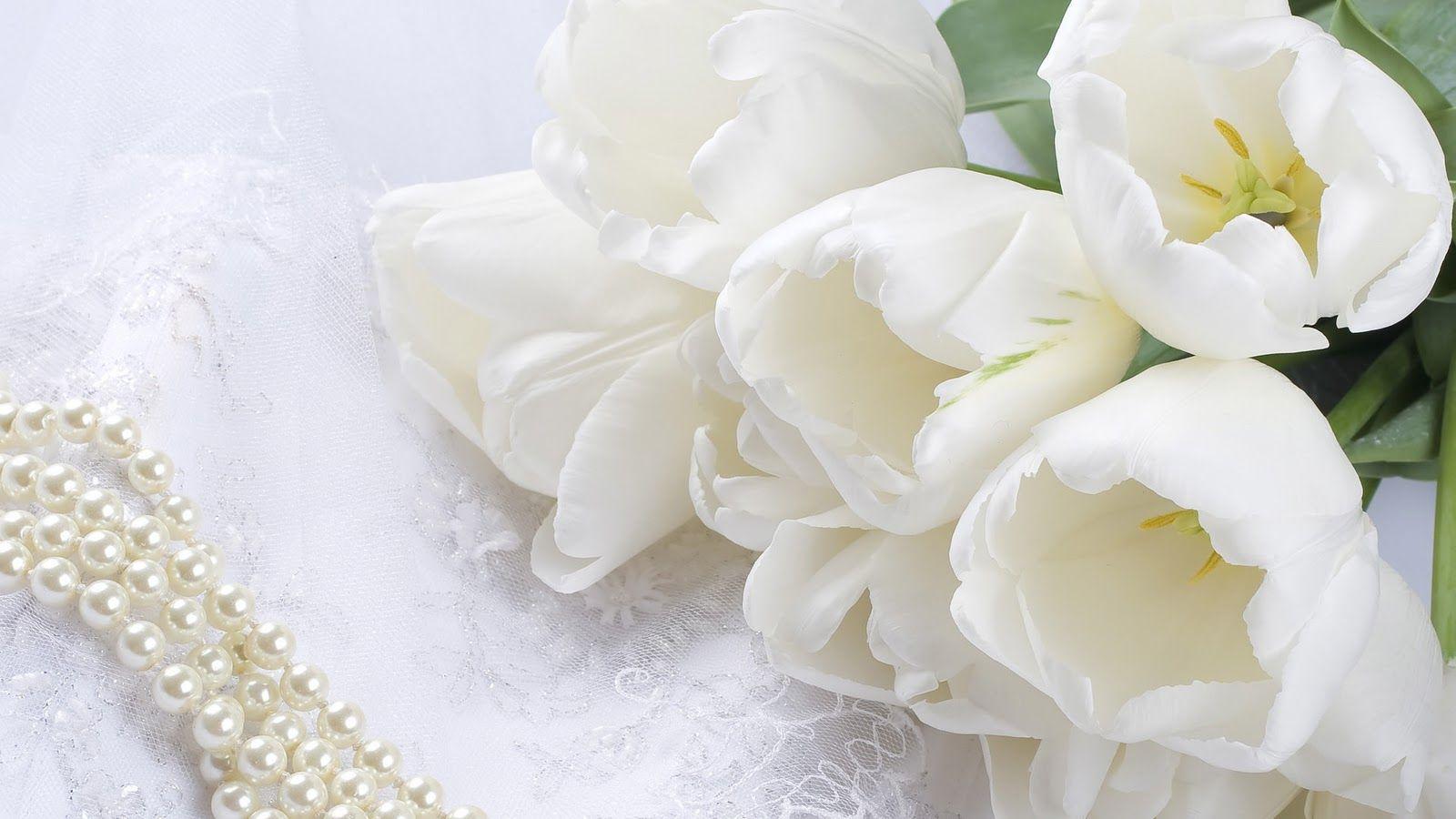1600x900 beautiful wallpaper HD for desktop