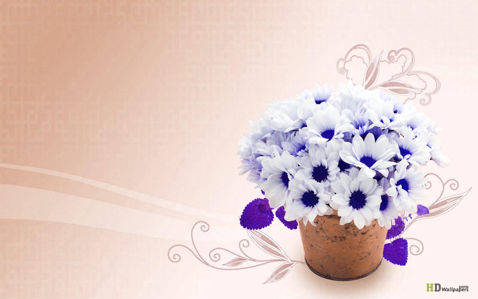 1600x1000 Beauty Flowers Desktop Wallpaper