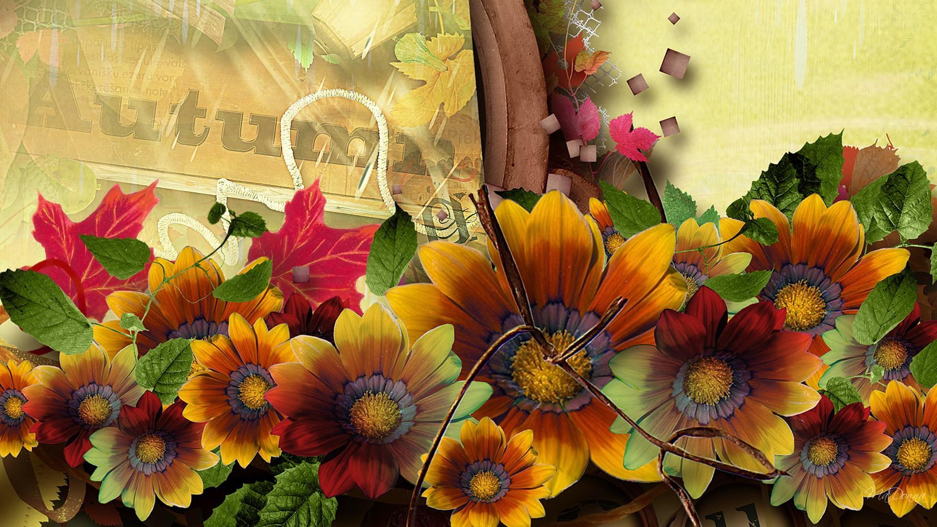 1920x1080 Fall Flowers Wallpaper Group , HD Wallpaper