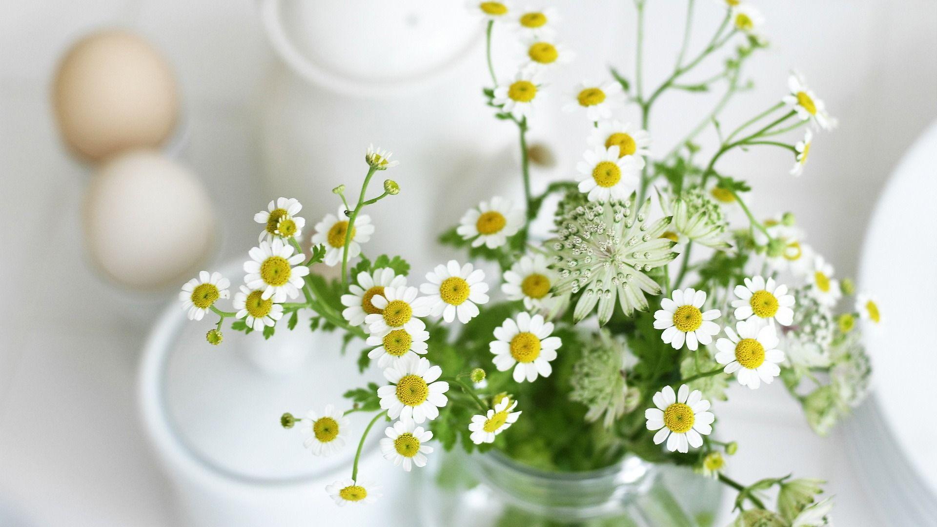 1920x1080 beautiful flowers wallapaper HD HD beautiful flowers