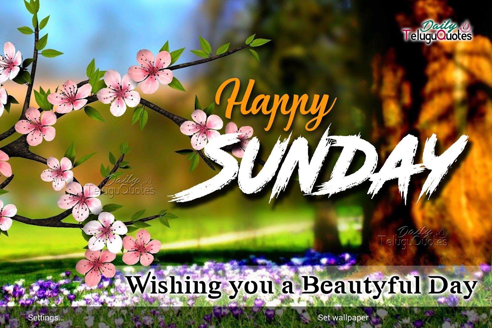 1600x1066 Sunday Wallpaper