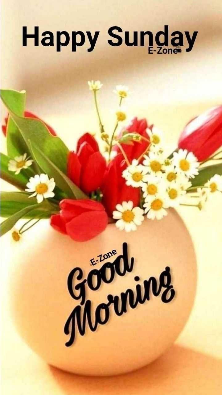 720x1280 Sunday Morning Wallpaper Explore more Day, Holiday, Rest, Saturday, Sunday Mornin. Good morning happy sunday, Good morning image flowers, Good morning coffee gif