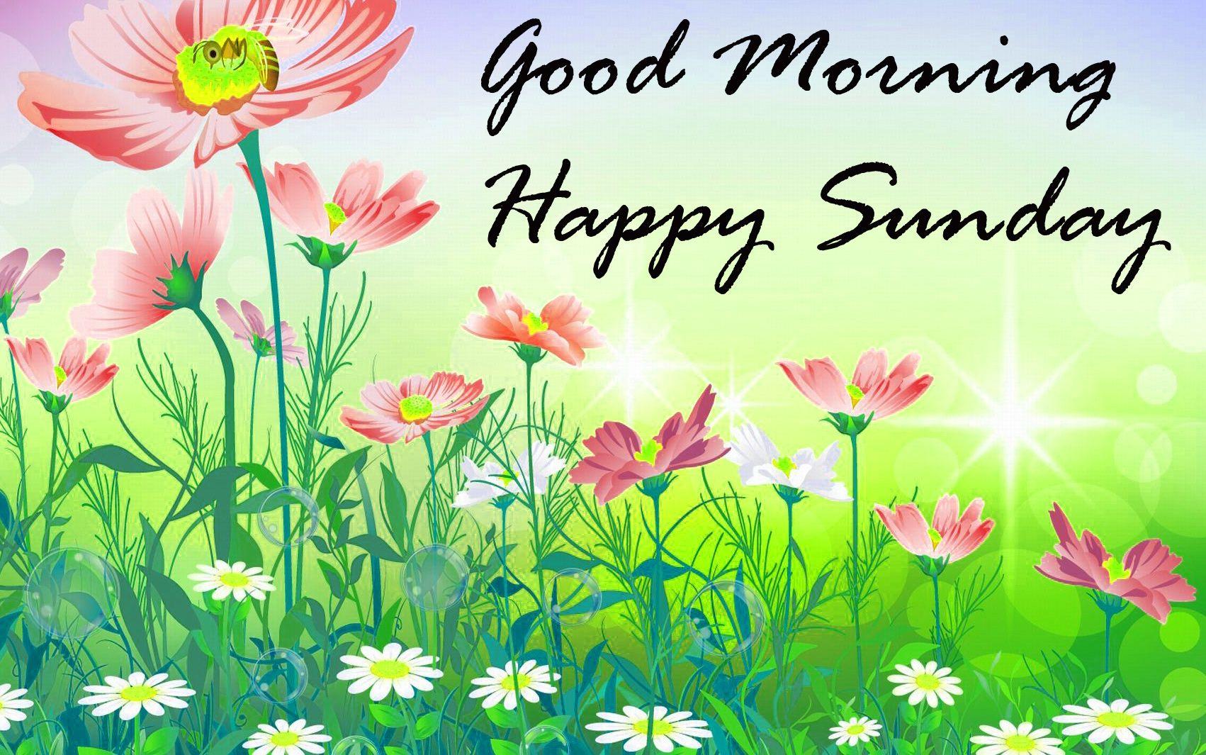 Happy Sunday Wallpapers Top Free Happy Sunday Backgrounds Happy Sunday Wallpapers Top Free Happy Sunday Backgrounds