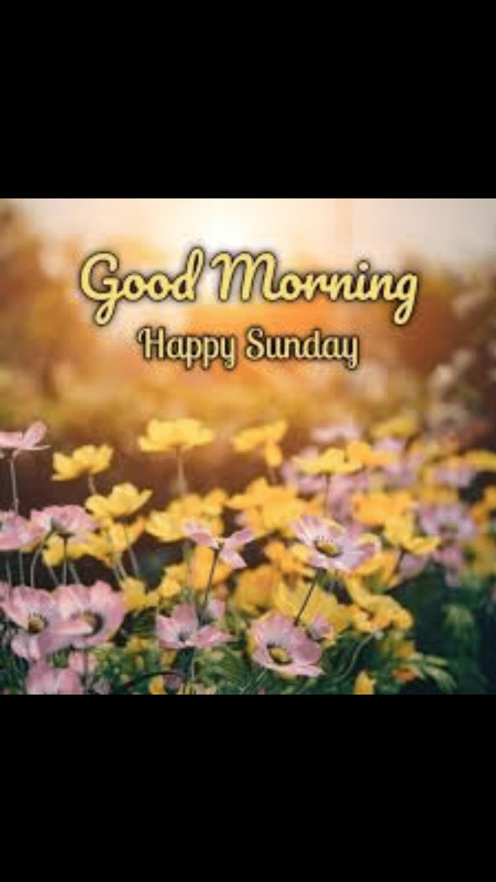 Happy Sunday Wallpapers Top Free Happy Sunday Backgrounds
