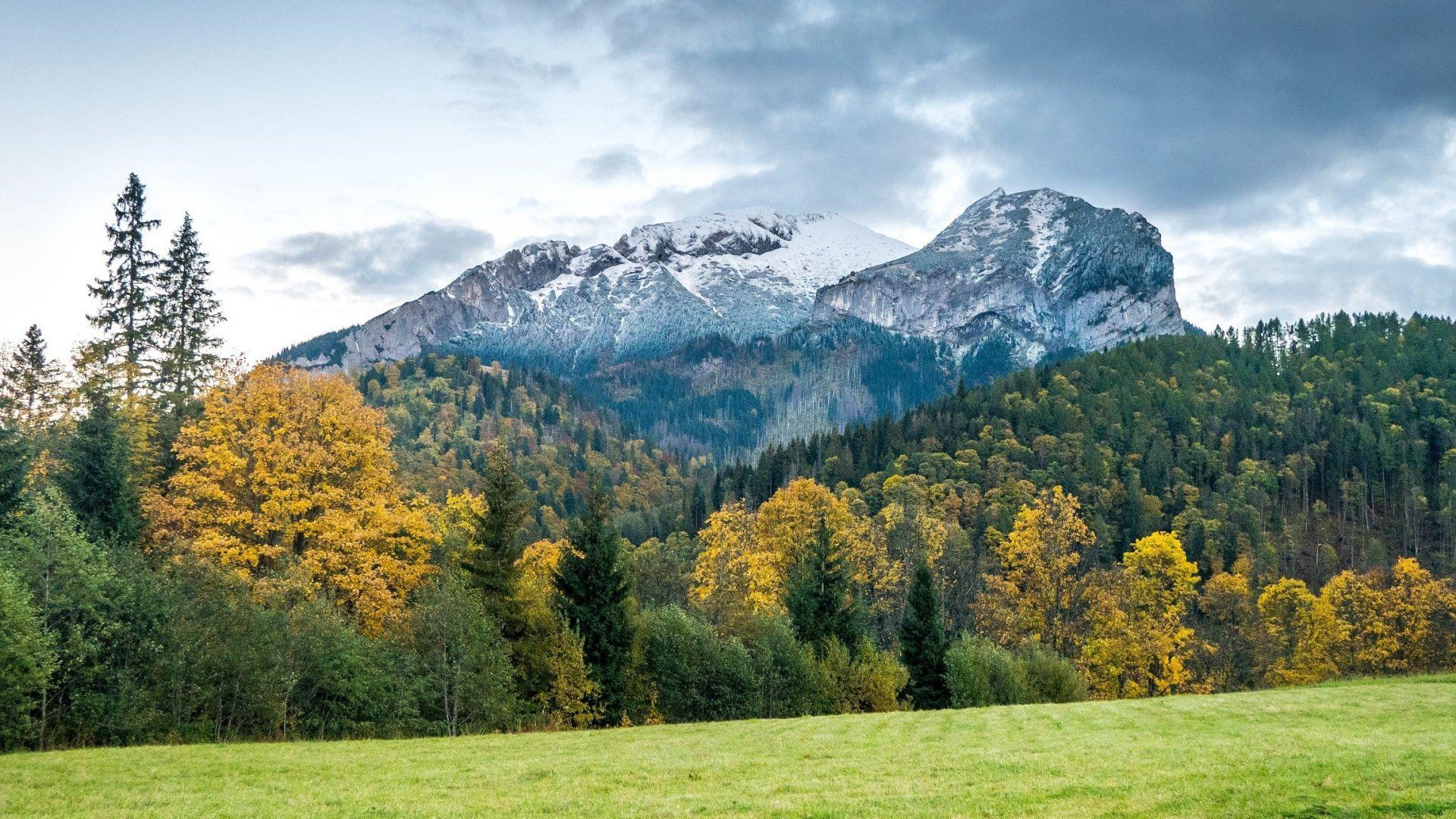 1920x1080 Desktop Wallpaper Belianske Tatras, Mountains, Tree, Landscape, HD Image, Picture, Background, 7055de