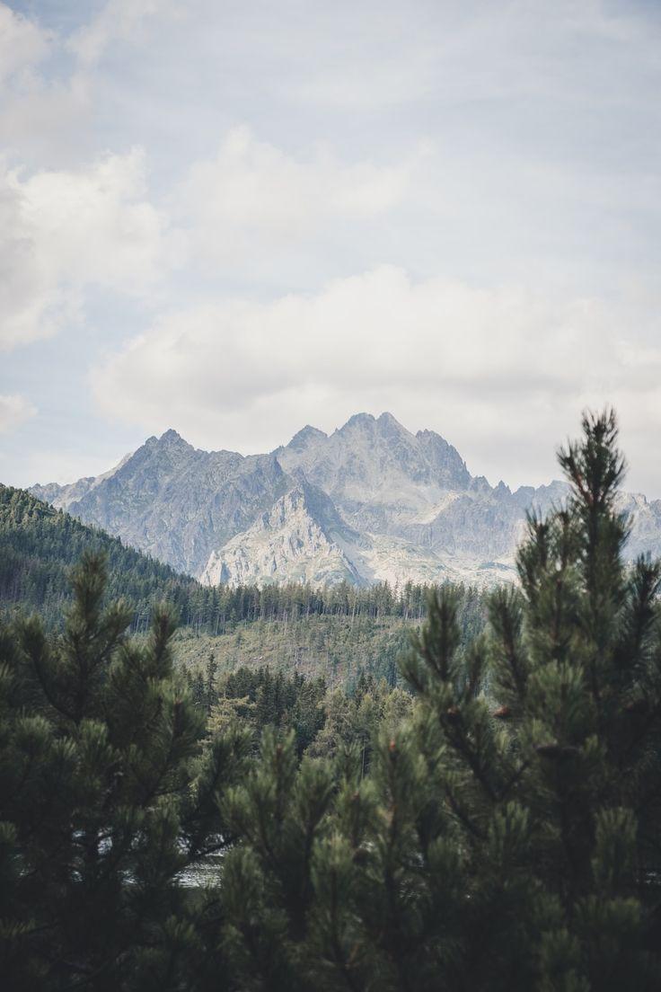 736x1104 High Tatras, Vysoké Tatry, Slovakia. Free nature photo, Forest photo, Lock screen background
