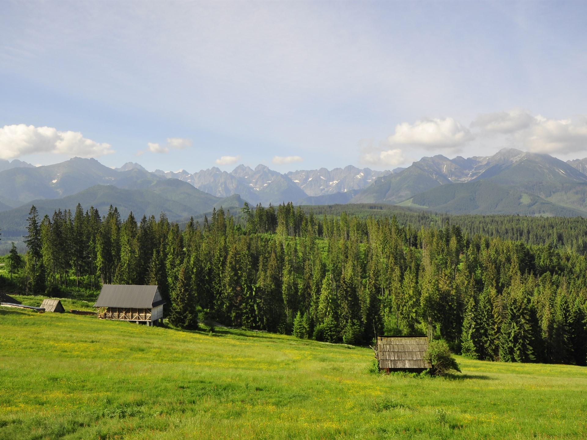 1920x1440 Wallpaper Poland, Tatry, houses, mountains, trees, grass 2560x1600 HD Picture, Image